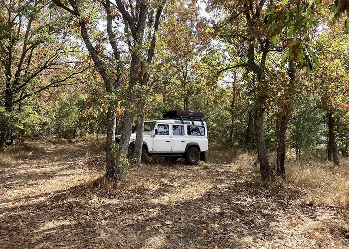 Filistrina Βίλα Yasna Polyana