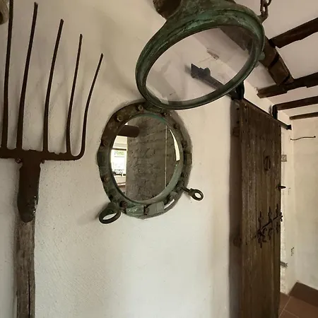 Filistrina Yasna Polyana